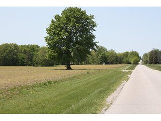 Property photo 45 - LAND AUCTION - 389.5+/- ACRES IN 11 TRACTS IN SULLIVAN COUNTY, INDIANA